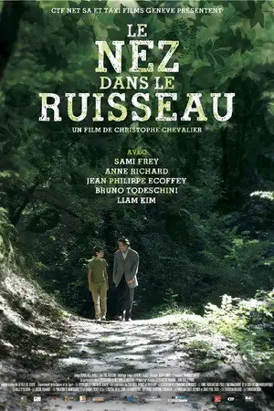Le nez dans le ruisseau – affiche