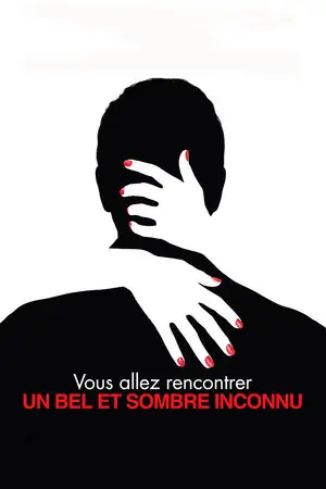 Vous allez rencontrer un bel et sombre inconnu – affiche