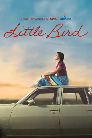 Little Bird – affiche