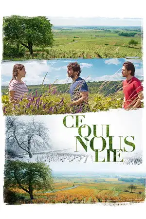 Ce qui nous lie – affiche