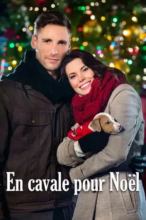 En cavale pour Noël – affiche