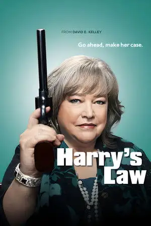 La loi selon Harry - Saison 2 - De mal en pis – affiche