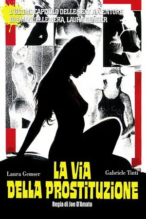 Emanuelle et les filles de Madame Claude – affiche