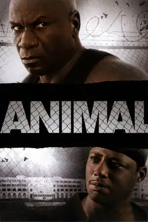Animal – affiche