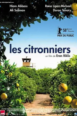 Les citronniers – affiche