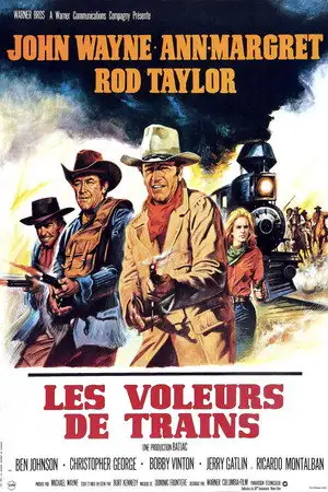 Les Voleurs de Trains – affiche
