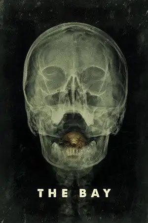 The Bay - La panique se nourrit de la peur – affiche