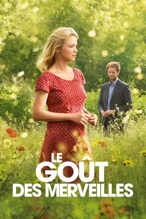 Le Goût des merveilles – affiche