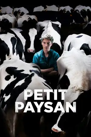 Petit Paysan – affiche