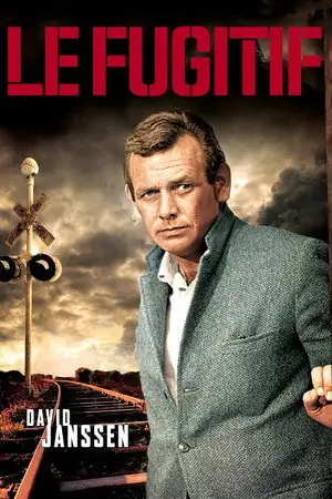 Le fugitif - Saison 3 - The End of the Line – affiche
