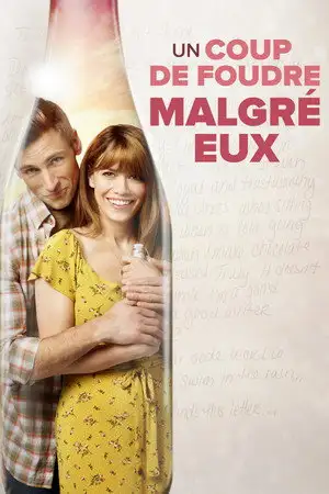 Un coup de foudre malgré eux – affiche
