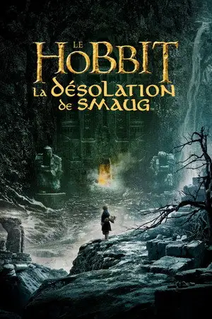 Le Hobbit : La Désolation de Smaug - Au-delà des ténèbres, au-delà de la désolation, se cache le plus grand des dangers. – affiche