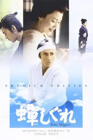 Le Samouraï que j'aimais – affiche