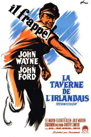 La Taverne de l'Irlandais – affiche