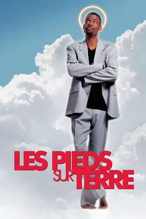 Les Pieds sur terre – affiche