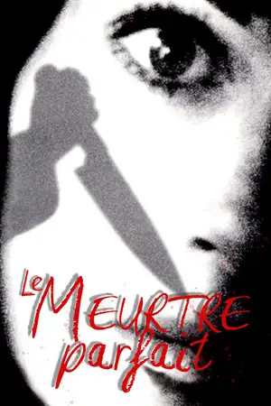 Le meurtre parfait – affiche