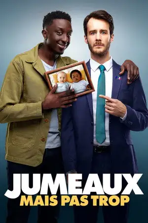 Jumeaux mais pas trop - Il y avait une chance sur un million – affiche