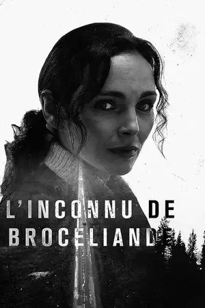 L'Inconnu de Brocéliande – affiche